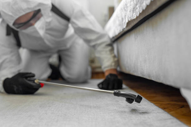 Professional Termite Control technician working in Brownfields, LA