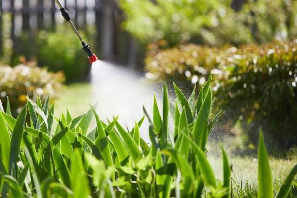 24/7 Emergency Termite Control experts in Brownfields, LA