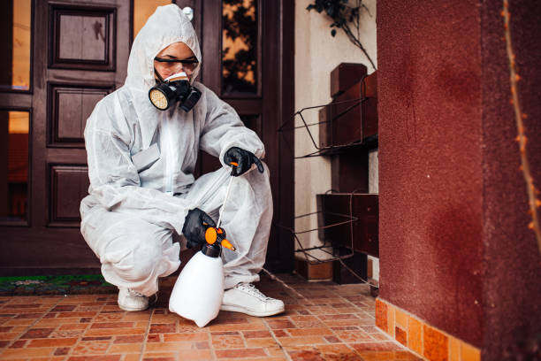 Reliable Termite Control contractor in Brownfields, LA by Nex Pest Control